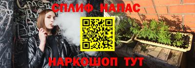 гашик Аргун