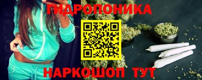 гашик Аргун