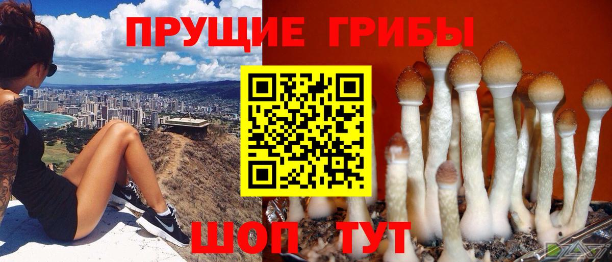 Псилоцибиновые грибы MAGIC MUSHROOMS  Вход с VPN  Верхний Уфалей 